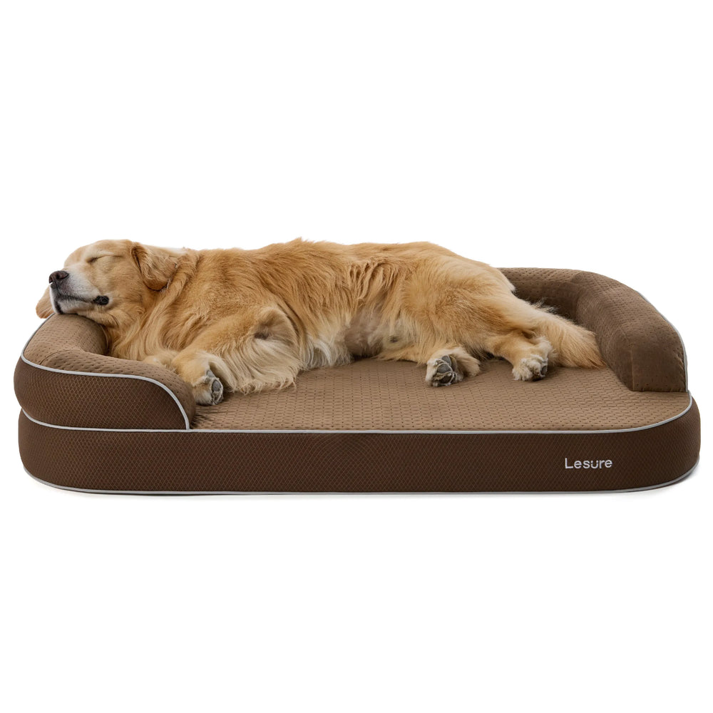 Camel Brown