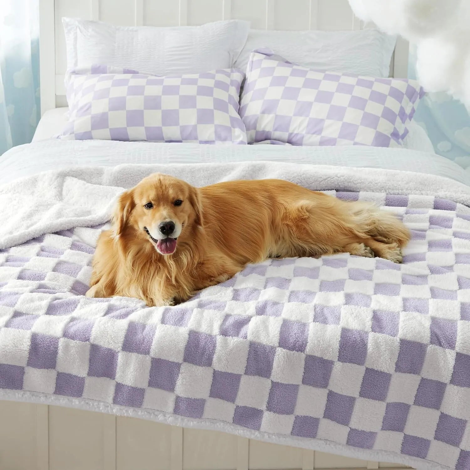 Lavender Checks