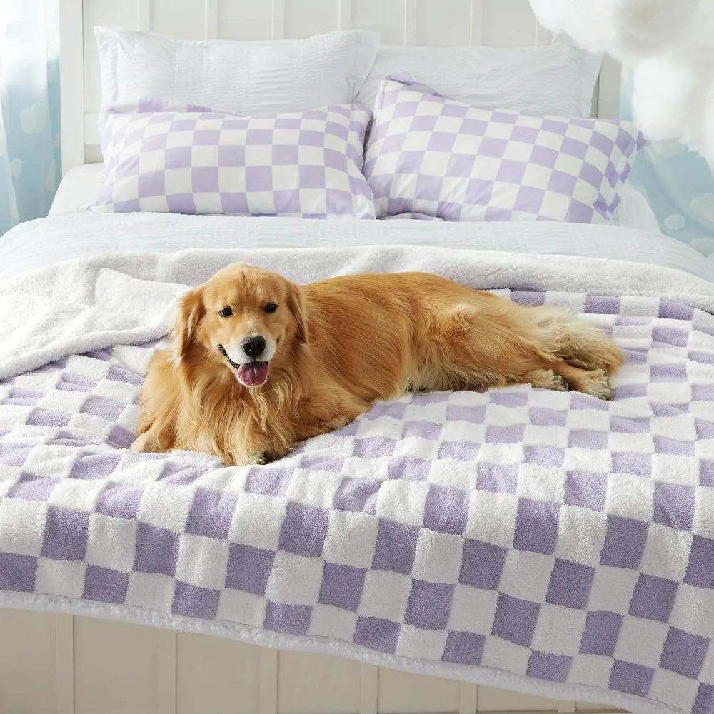 Lavender Checks