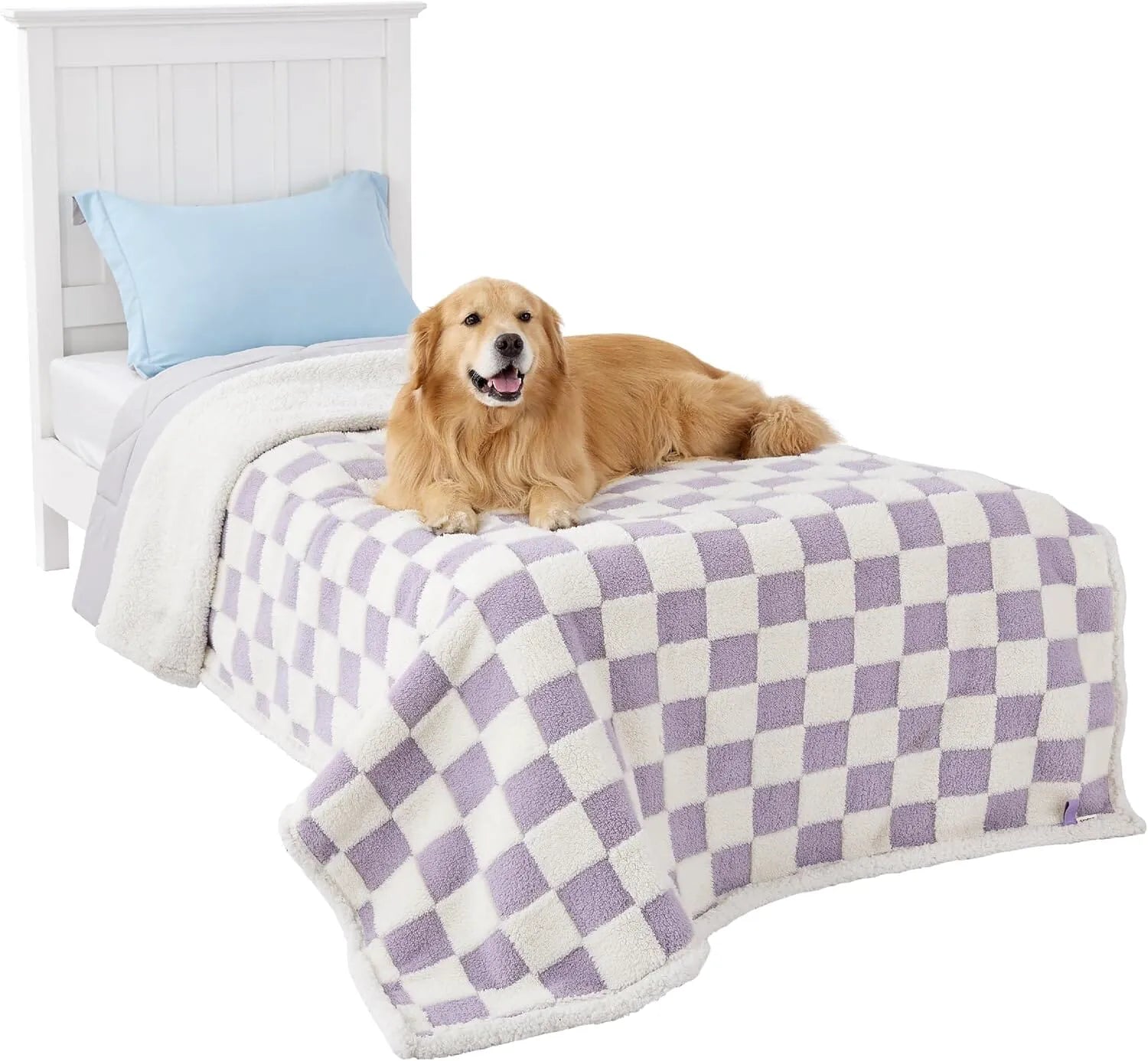 Lavender Checks