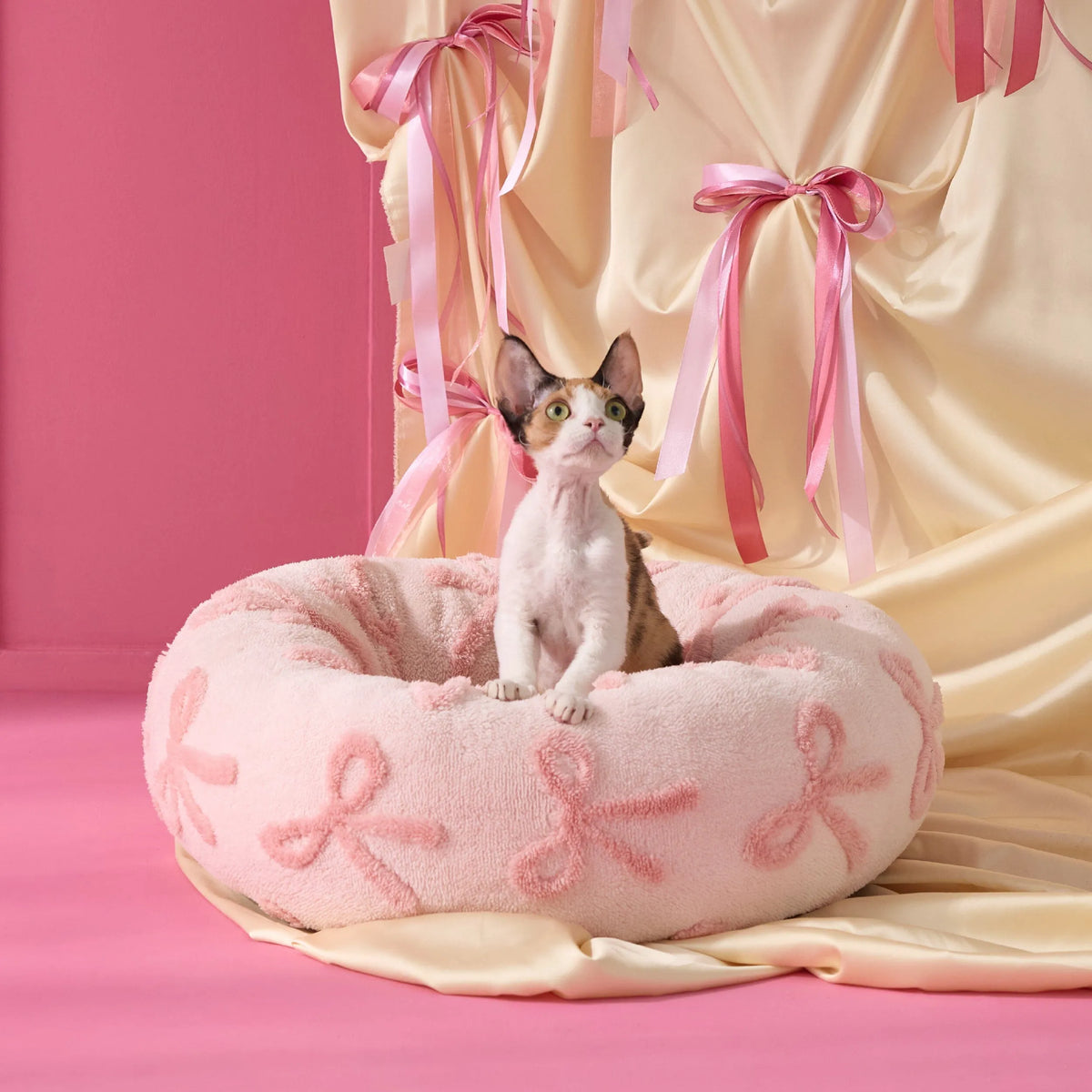 Bow Pink Taffy
