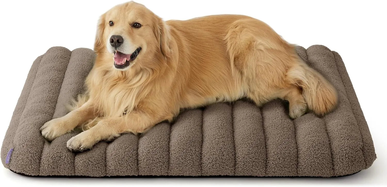 Camel Brown
