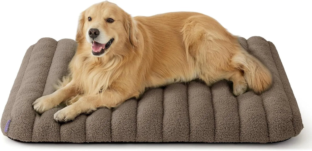Camel Brown
