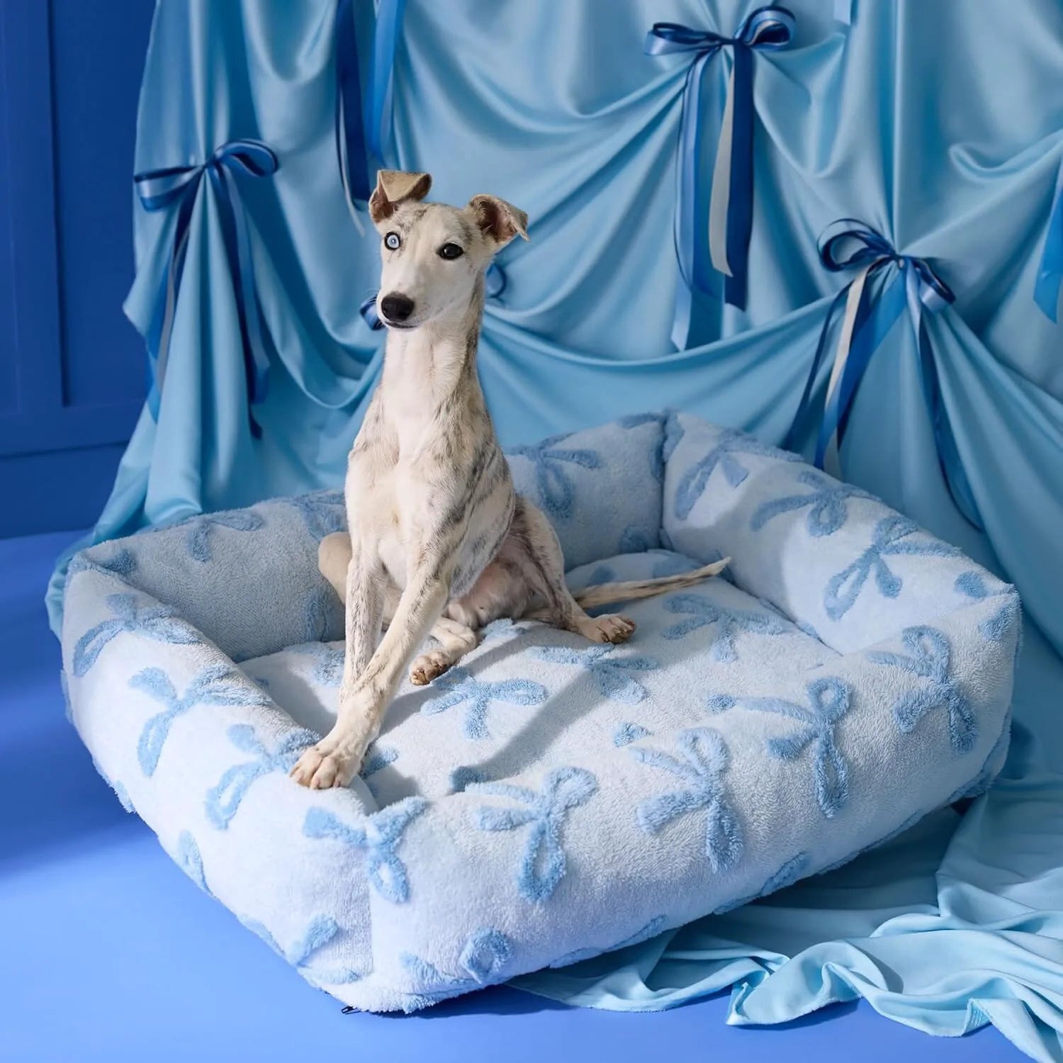Bow Ice Blue
