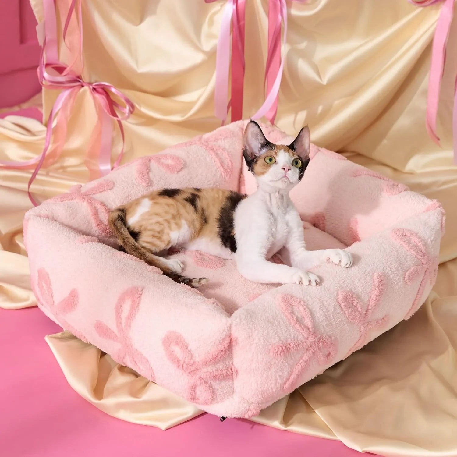 Bow Pink Taffy