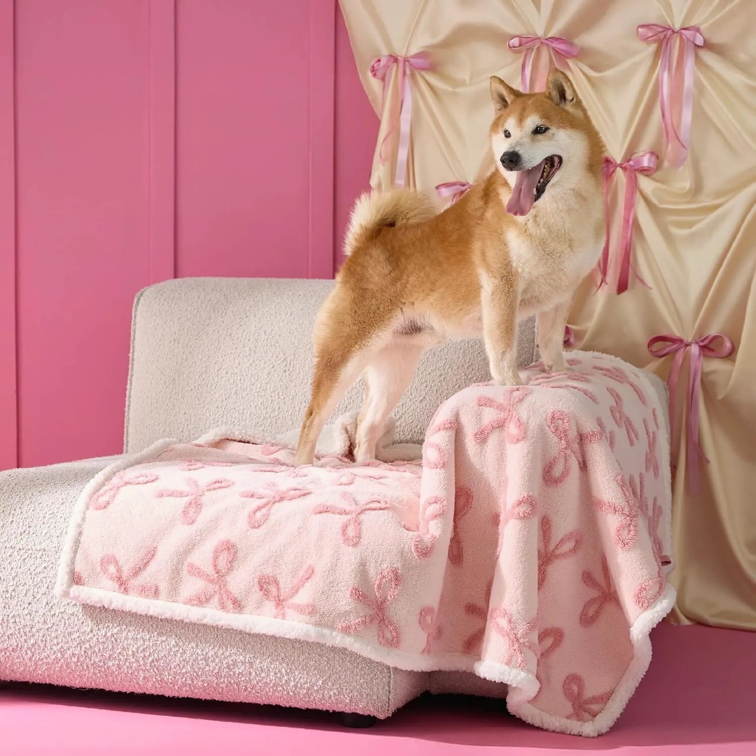 Bow Pink Taffy